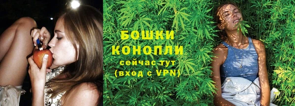 ешки Белокуриха