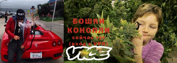 ешки Белокуриха