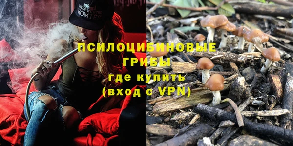 ешки Белокуриха