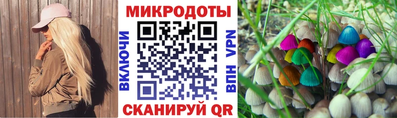 Псилоцибиновые грибы Psilocybine cubensis  Невель 